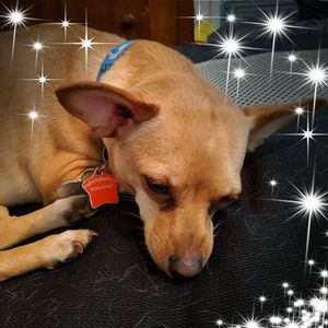 Meet your Posher, Michael